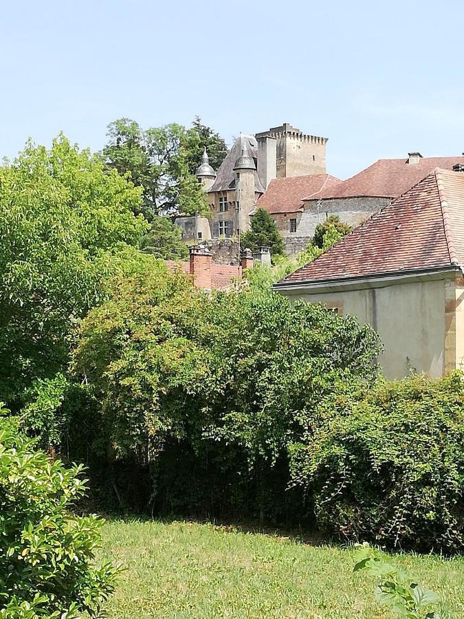 Vue Du Chateau D'Excideuil En Chambres Buitenkant foto